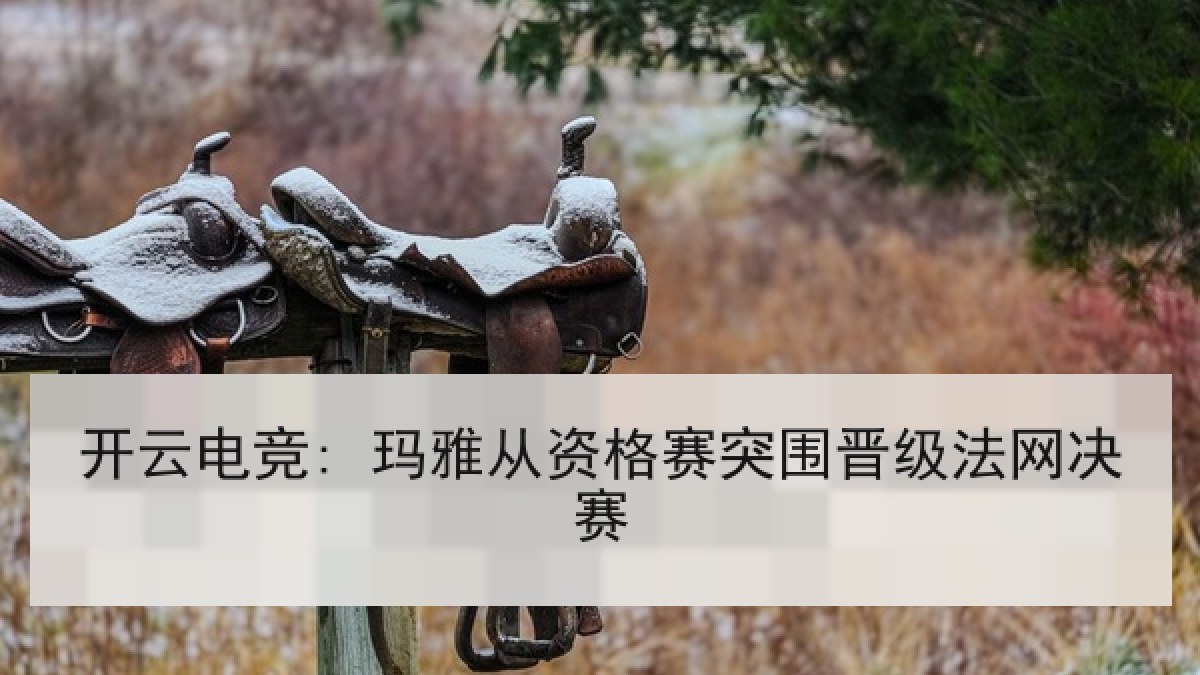 开云电竞: 玛雅从资格赛突围晋级法网决赛 开云电竞: 玛雅从资格赛突围晋级法网决赛