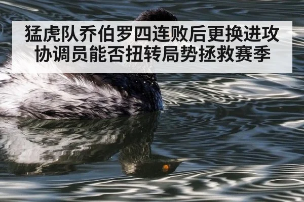 猛虎队乔伯罗四连败后更换进攻协调员能否扭转局势拯救赛季