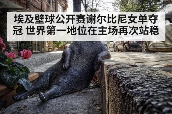 埃及壁球公开赛谢尔比尼女单夺冠 世界第一地位在主场再次站稳